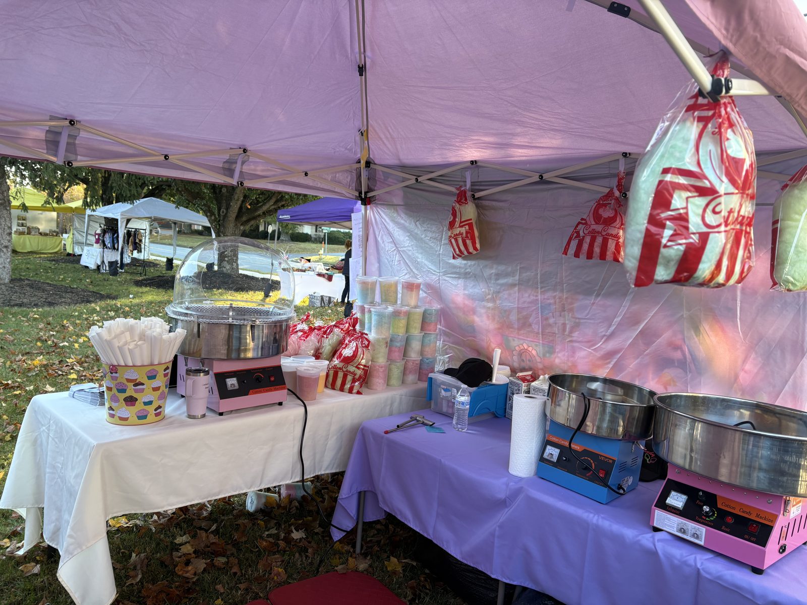 Cotton Candy Dreams full equipment setup at community event