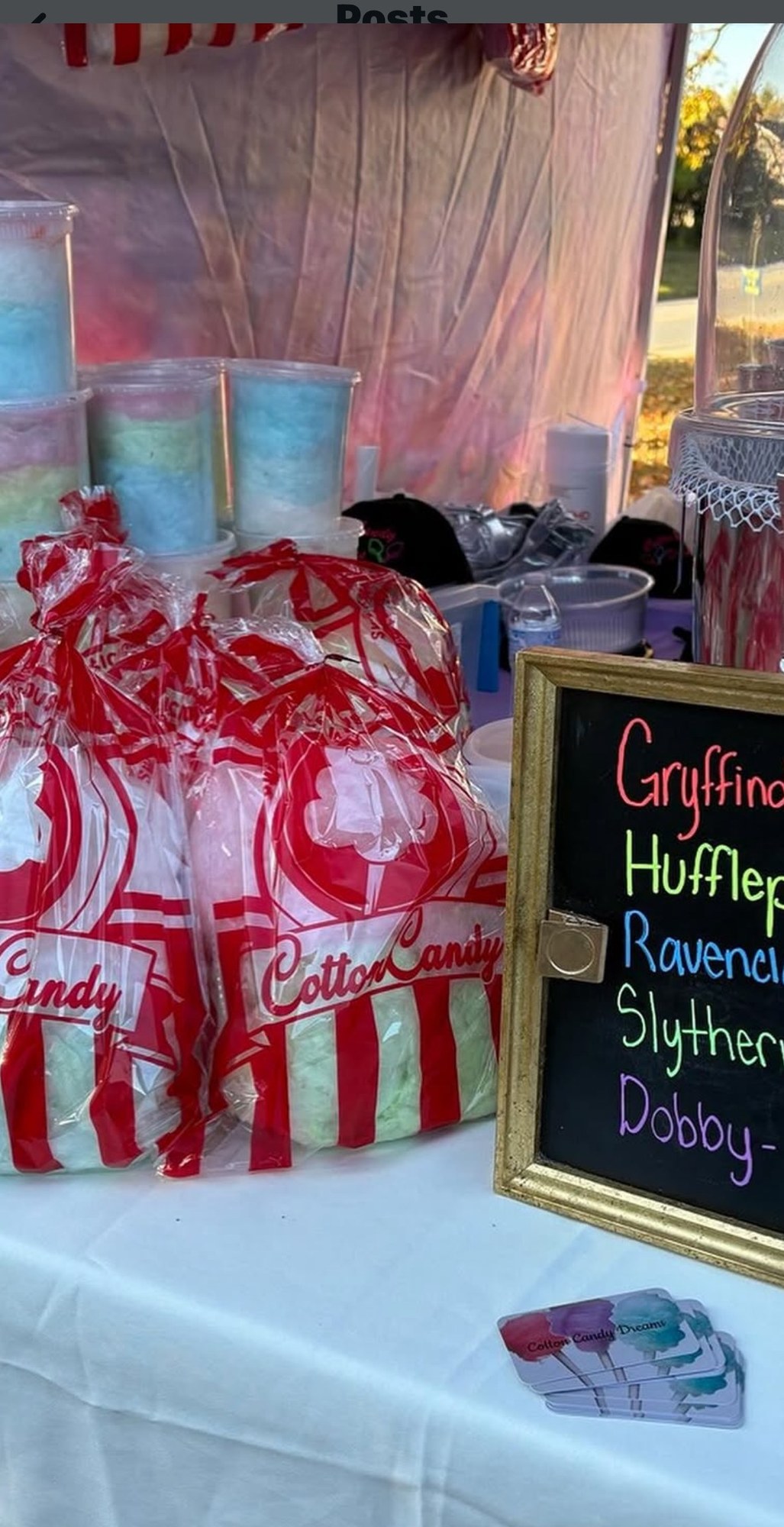 Harry Potter themed cotton candy party favors and house flavor menu