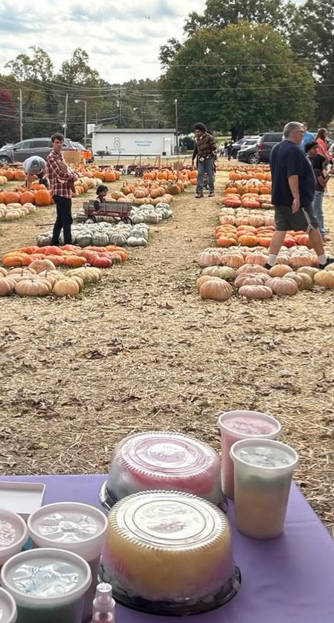 Cotton Candy Dreams serving guests at a busy fall pumpkin patch